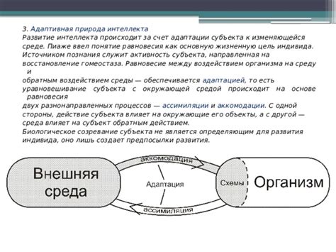 Поддержание равновесия между контролем и адаптацией