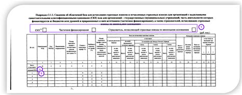 Подраздел 2.1: Образование и специализация