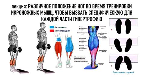 Подсознательное движение ног во время лежания