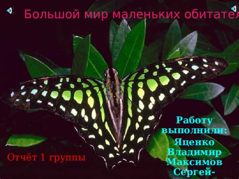 Подсознательное ощущение загрязнения: разбирательство маленьких насекомых