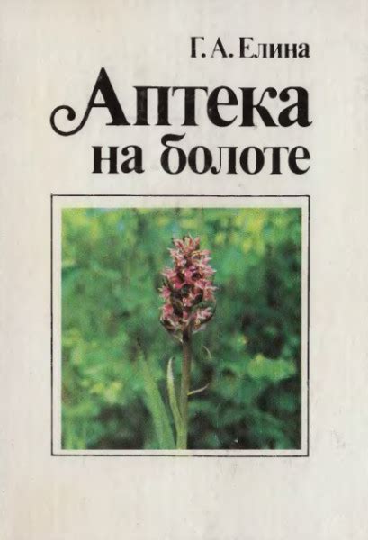 Подсознательное путешествие в неизведанный мир: лабиринт природы