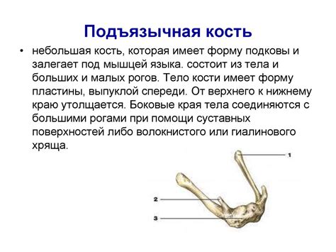 Подъязычная грыжа