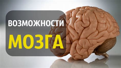 Познавательные возможности, наши головные способности