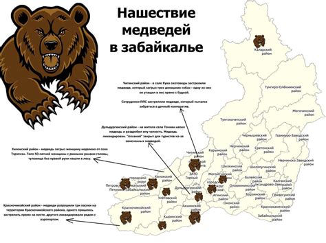 Поиск гармонии: интерпретация множественного присутствия медведей в атмосфере цирка