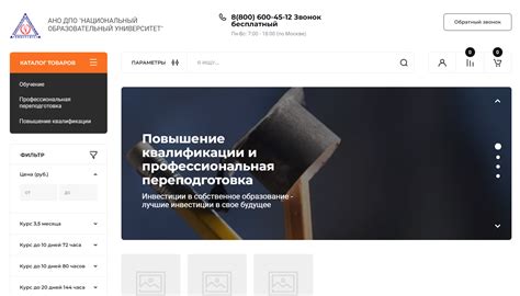 Поиск новой работы и повышение квалификации