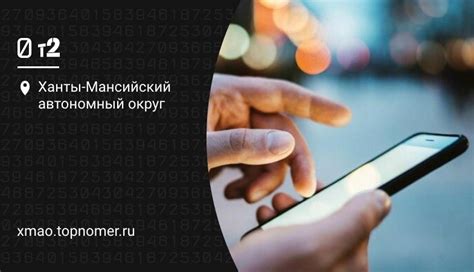 Поиск оператора номера 8913 по первым цифрам