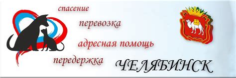 Поиск специализированных служб спасения животных