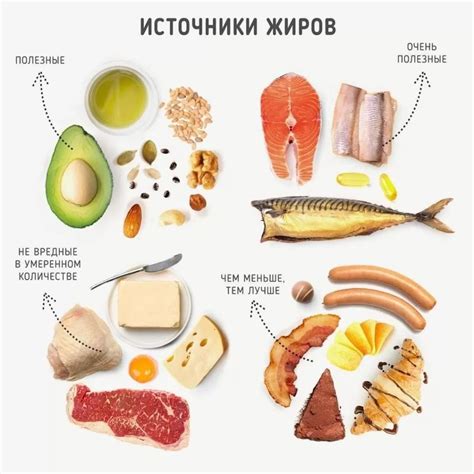 Полезные жиры в диете при проблеме с желчным