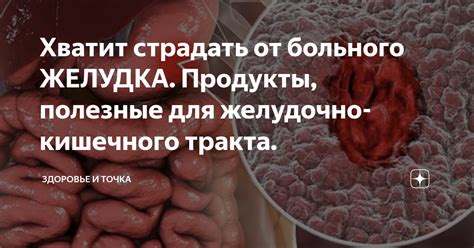 Полезные продукты для желудочно-кишечного тракта