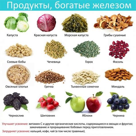 Полезные продукты для повышения гемоглобина