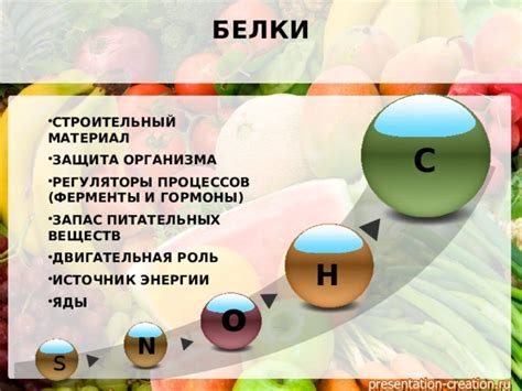 Полезные свойства органических веществ для организма