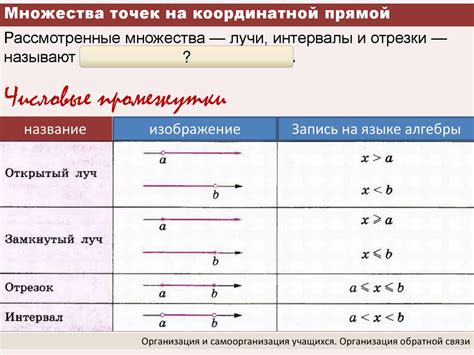 Полезные советы по отметке точек на прямой