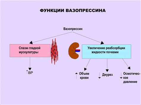 Полидипсия и сахарный диабет