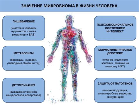 Положительное воздействие на организм