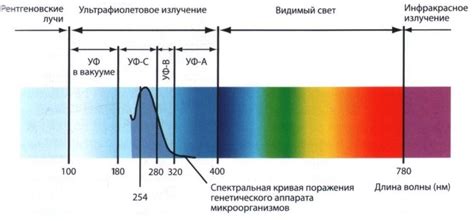 Получение ультрафиолетового облучения при желтушке