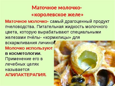 Польза пчелиного маточного молочка для мужчин