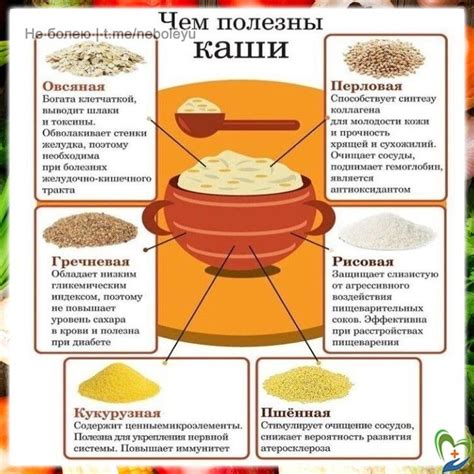 Польза пшеничной каши для организма