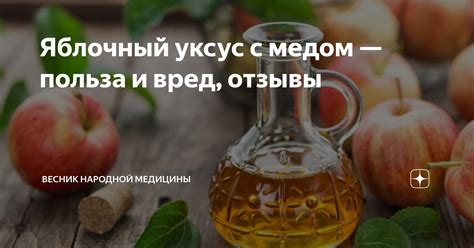 Польза яблочного уксуса с медом