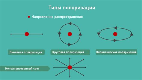 Поляризация света: как это происходит и примеры