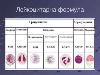 Пониженный гематокрит