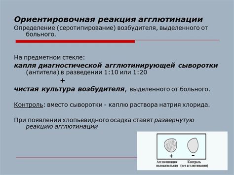 Понятие агглютинации