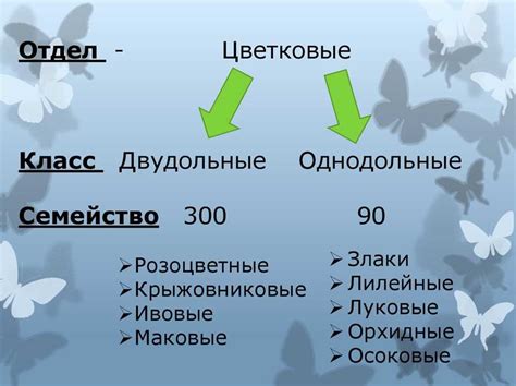 Понятие клубники в ботанике