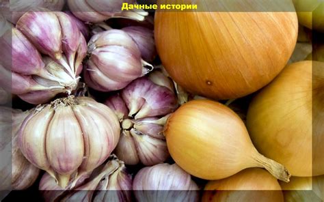 Популярные толкования снов о луке и чесноке в современной психологии