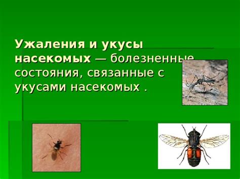 Поражающие иллюзией события, связанные с группой насекомых, проживающих в здании