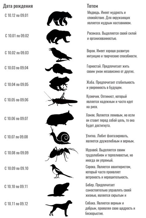 Портал в мир детства: Маленькое конюшенное животное во сне и его значения