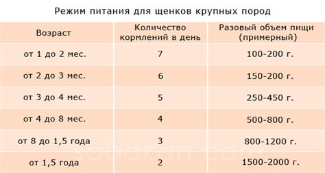 Порции и частота кормления