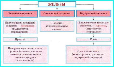 Порывы внешней и внутренней сексуальности