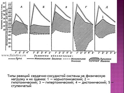 Последствия зачатия в мае и их влияние на физическую и психологическую развитие ребенка