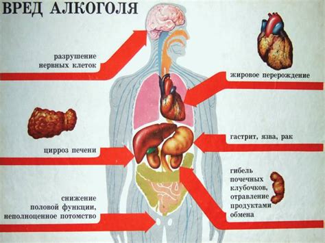 Последствия низкого лба для здоровья