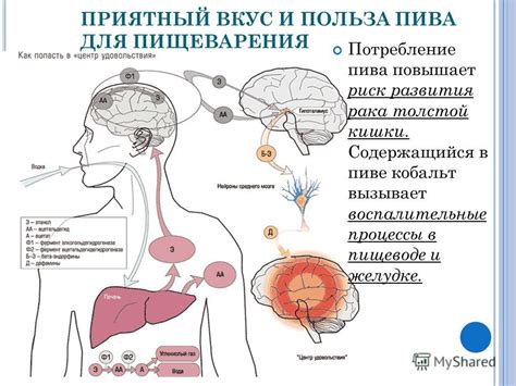 Последствия пивного путча