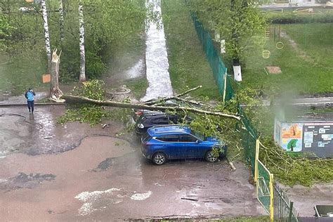 Последствия урагана для зданий и окружающей среды