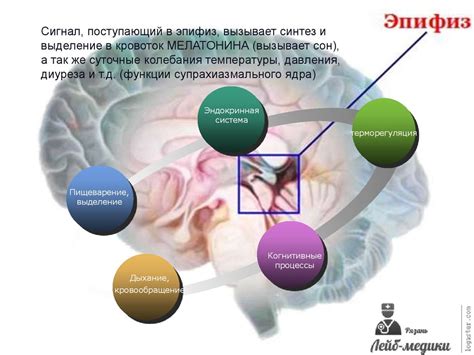 Последствия хронического недосыпания для женского организма