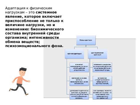 Постепенный возврат к физическим нагрузкам