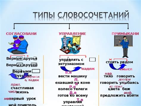 Постигая глубинный смысл обучения пушистых верных друзей