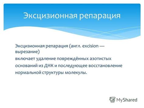 Постуатокритический период: возможность реанимации и последующее восстановление