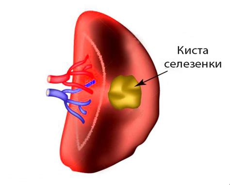 Потенциальные опасности, связанные с сновидением об укусе грызуна в палец