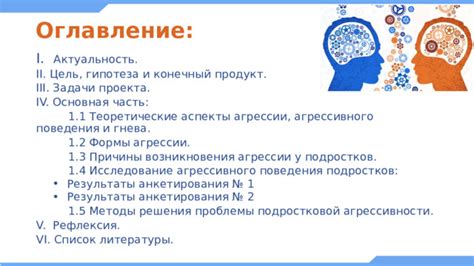 Потенциальные решения проблемы агрессивного поведения в Набережных Челнах