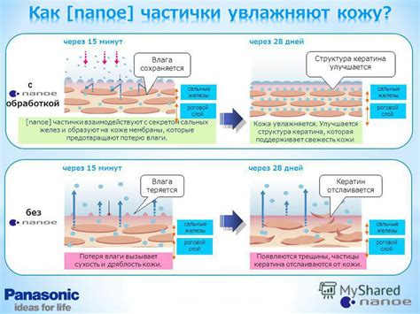 Потеря влаги и сухость кожи