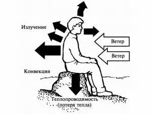 Потеря тепла и развитие гипотермии