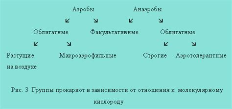 Потребности воздушного кислорода