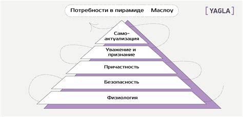 Потребности и желания: скрытые смыслы в сновидениях о кушанье с говядиной