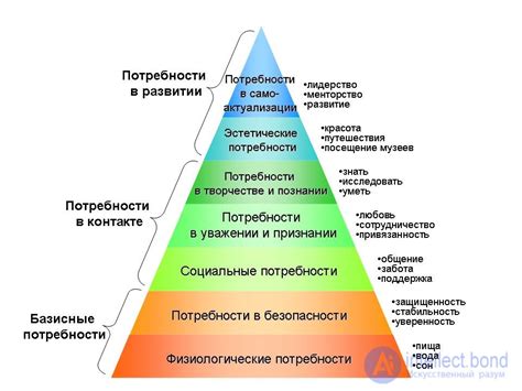 Потребность в взаимодействии и внимании