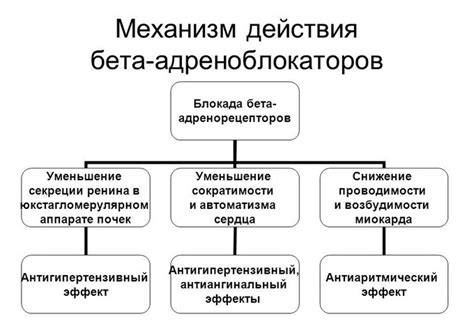 Почему бета блокаторы неподходящи для бронхиальной астмы