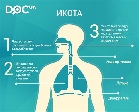 Почему возникает икота у человека