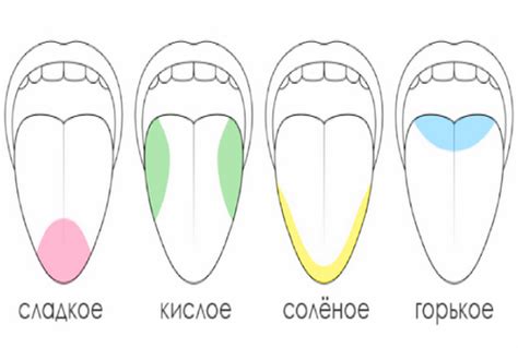 Почему возникает ощущение горения во рту и на языке?