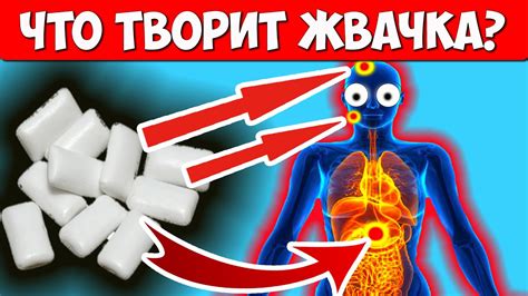 Почему жевачку нельзя жевать с пломбой?